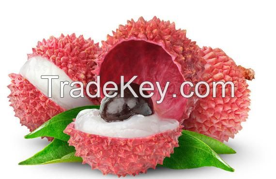 Best Price Premium Lychee//Litchi//Lichee For Export in Vietnam