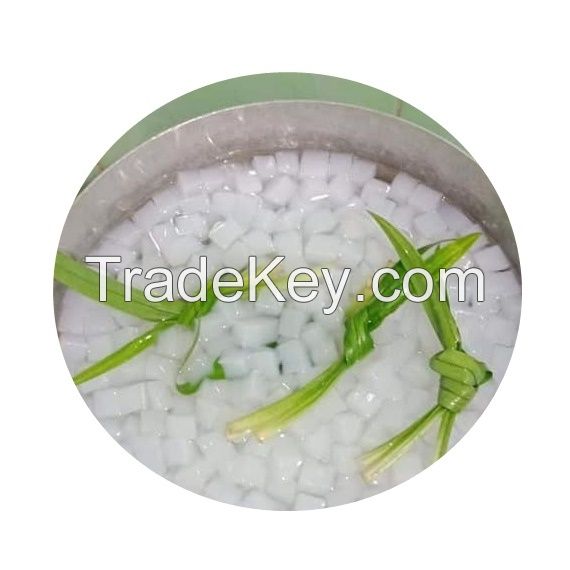 WHOLESALE NATA DE COCO IN SYRUP EXPORT QUALITY FROM VIETNAM