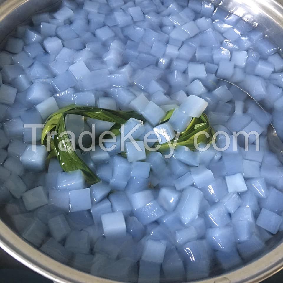 WHOLESALE NATA DE COCO IN SYRUP EXPORT QUALITY FROM VIETNAM