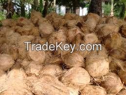 Semi husk coconut