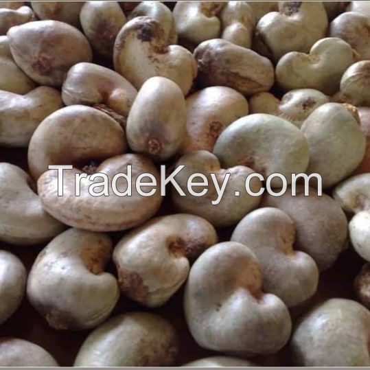 Cashew nuts