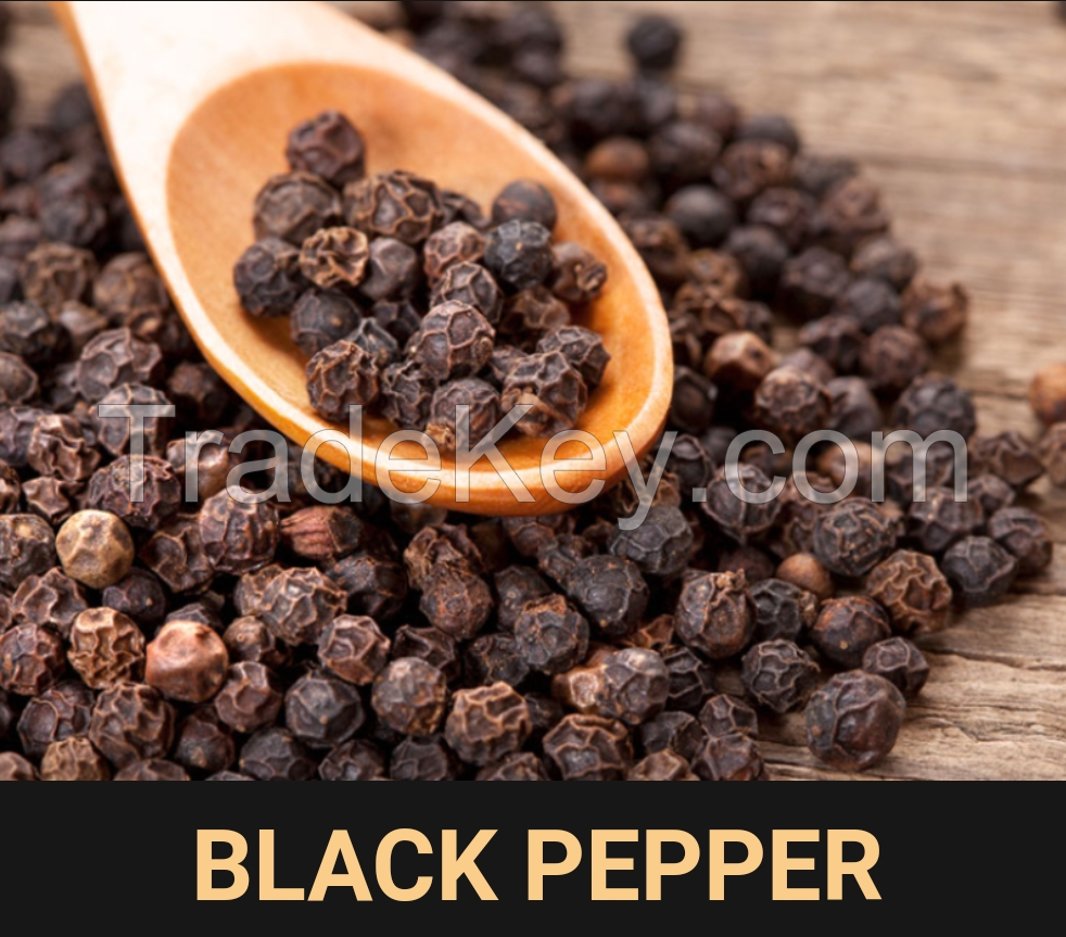 Black Pepper