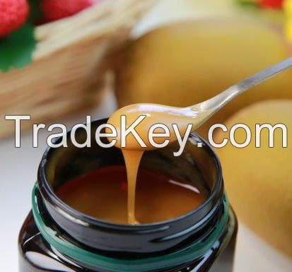 100% Pure Raw Organic Manuka Honey From New Zealand