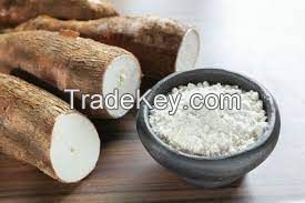 cassava root crops