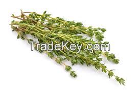 ROSEMARY, THYME