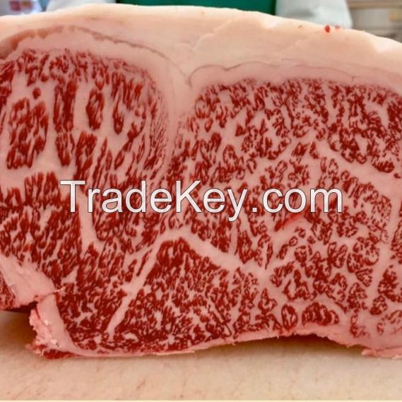 BRAZIL HALAL FROZEN BONELESS BEEF/COW MEAT / BEEF CARCASS