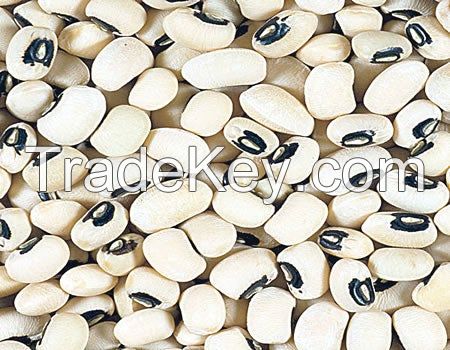 Beans (white/ honey beans)