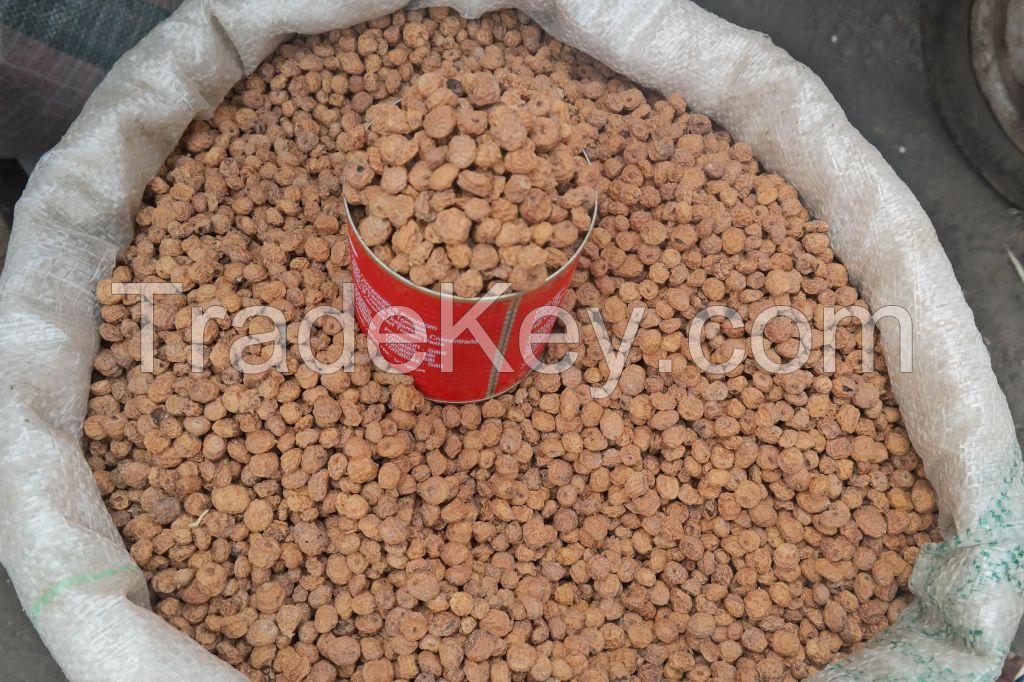 Dried Tiger Nuts