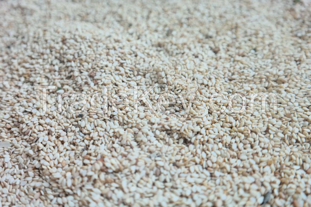 Unhauled Sesame Seeds