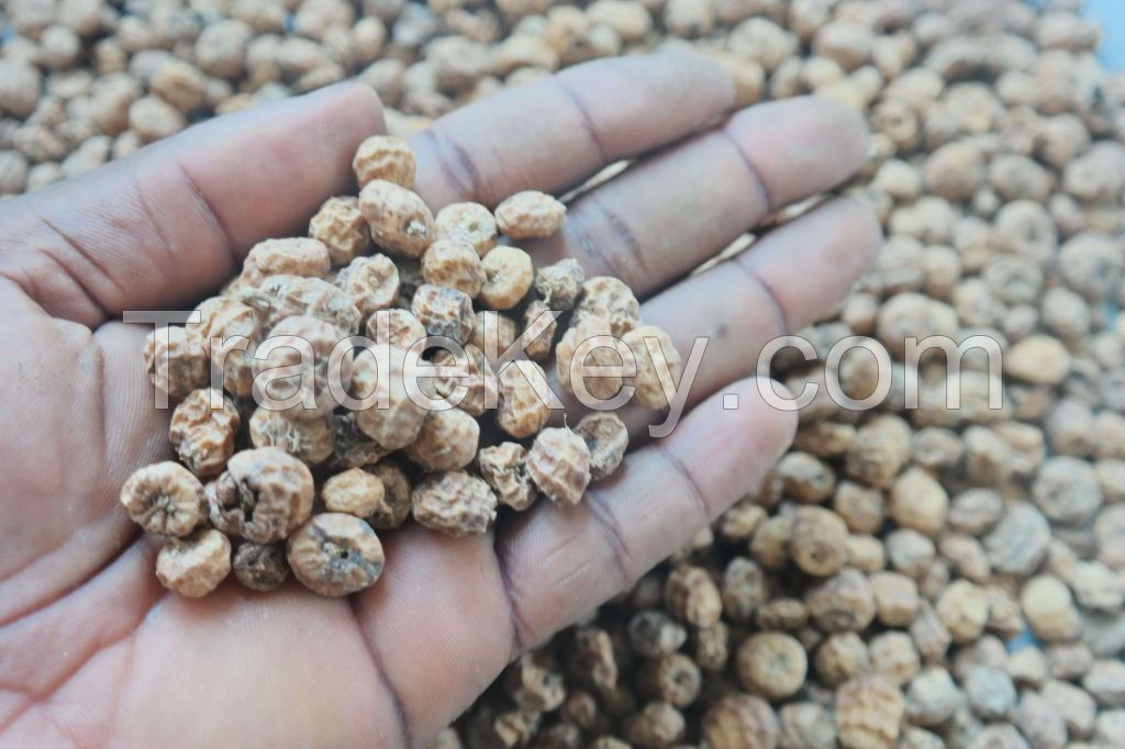 Dried Tiger Nuts