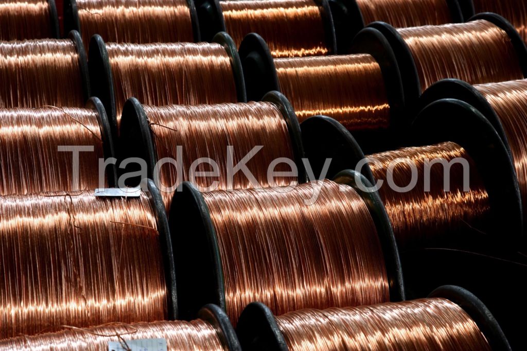 Copper Wire (Millberry)