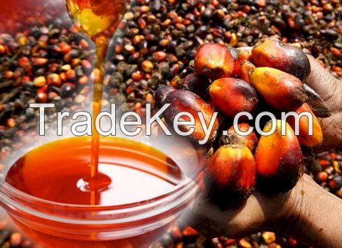 Refined Palm Oil