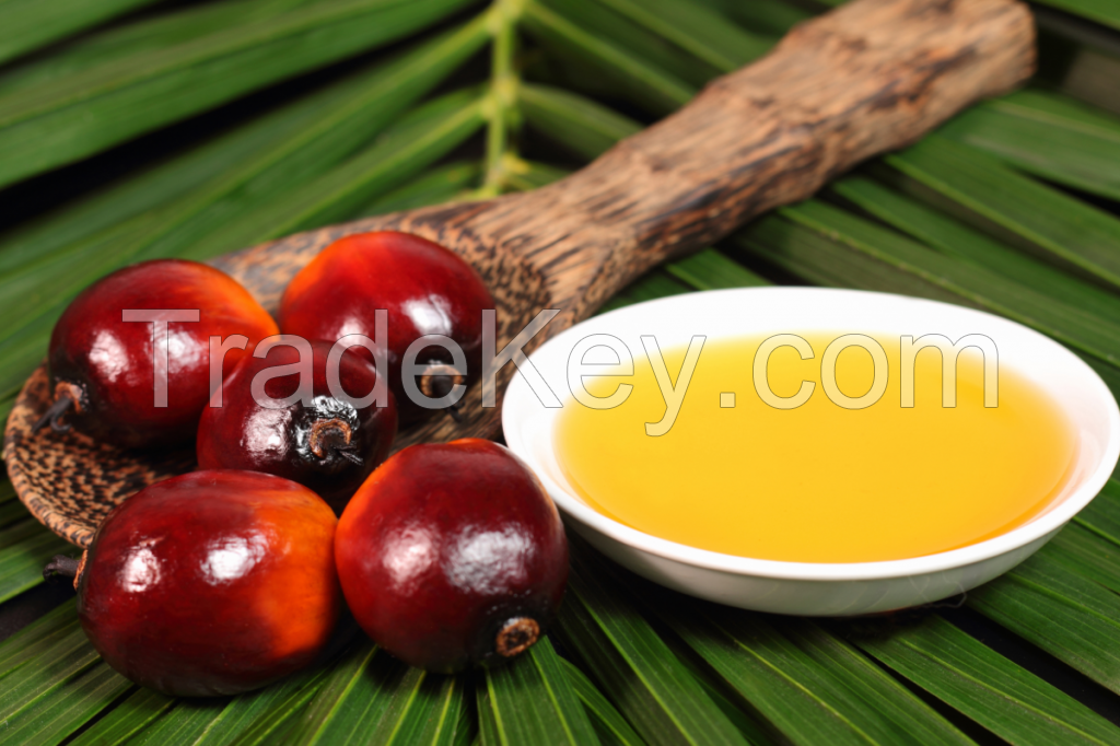 Refined Palm Oil