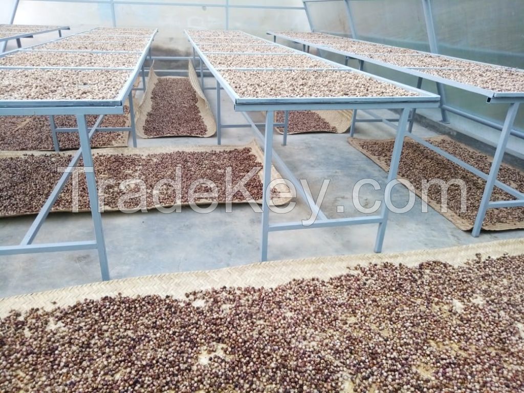 Cloves high quality from Indonesia