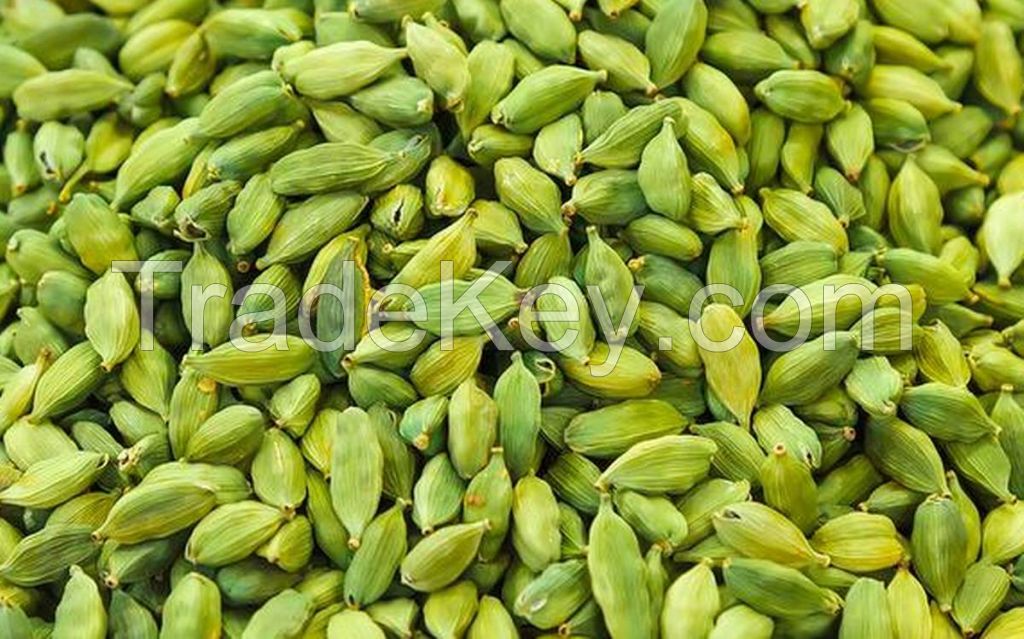 Cardamom