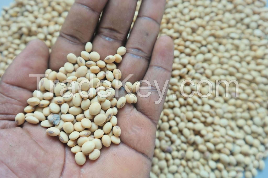 Soya beans