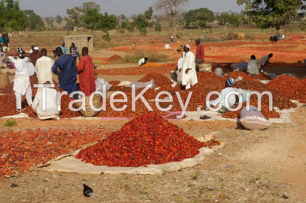 High Quality Dried Chili Pepper