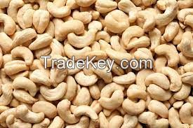 Cashew Nuts