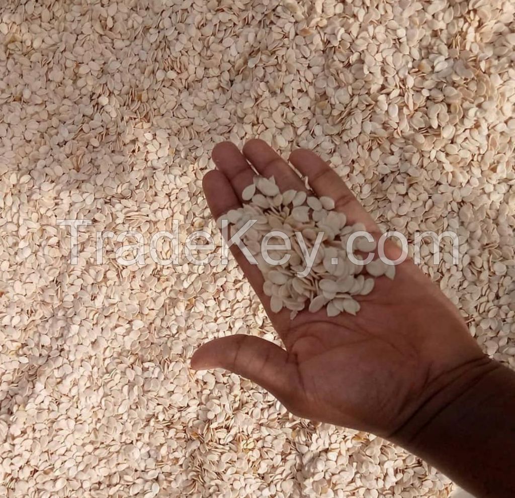 Melon seed, egusi