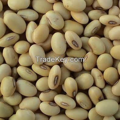 Soy beans