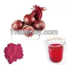 red beetroot extract