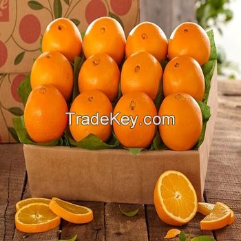 100% Pure Natural Fresh Citrus Naval Oranges, Valencia Orange, Lemons, Mandarins 