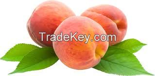 peach,grapes,plums,watermelon