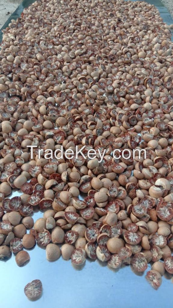 BETEL NUTS ( Cuts , Uncut, Coin, 90/95 80/85 70/75 )