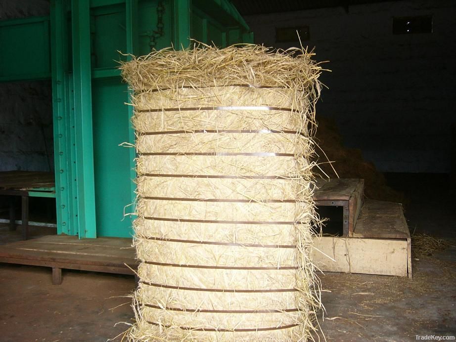 Paddy Straw