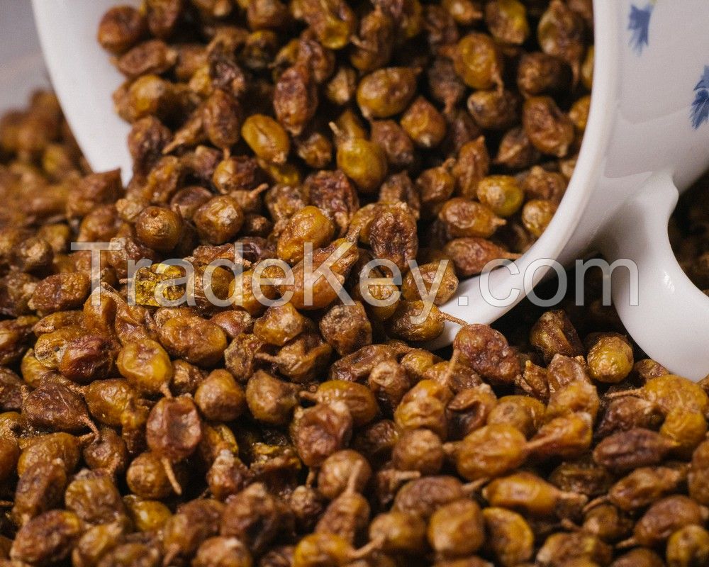 Sea buckthorn berries