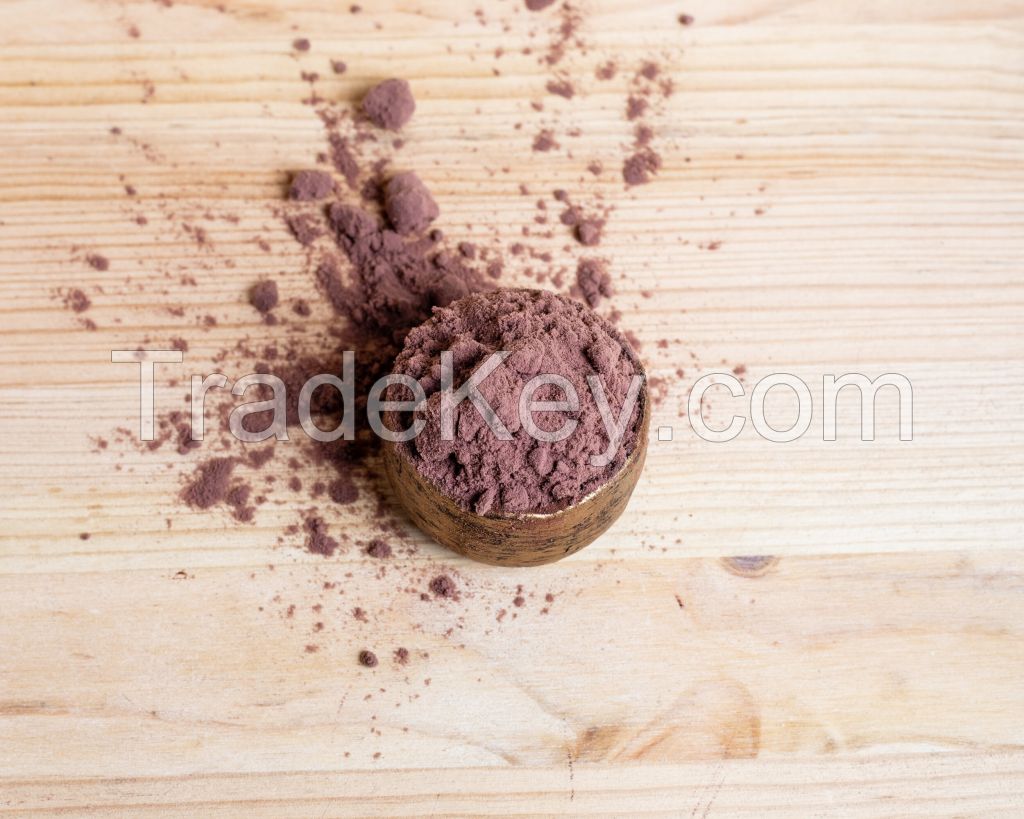 Elderberry Dry Extract Powder, 5:1