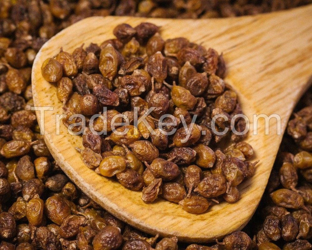 Sea buckthorn berries