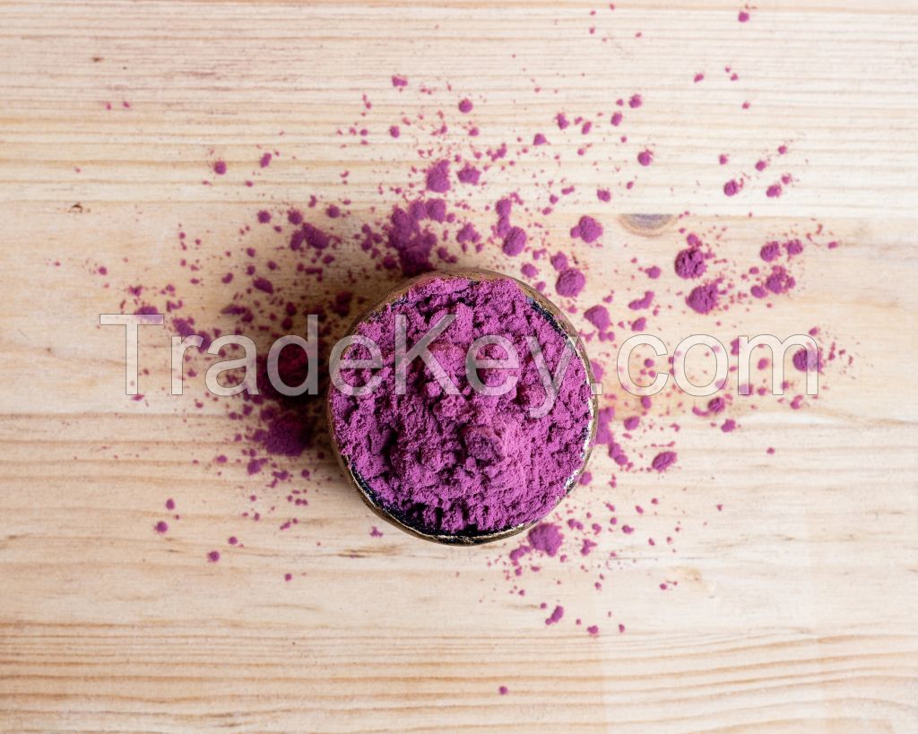 Elderberry Raspberry Blueberry Dry Extract Powder