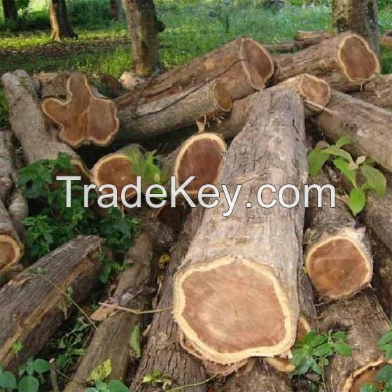 Cameroon Ekop Wood Logs