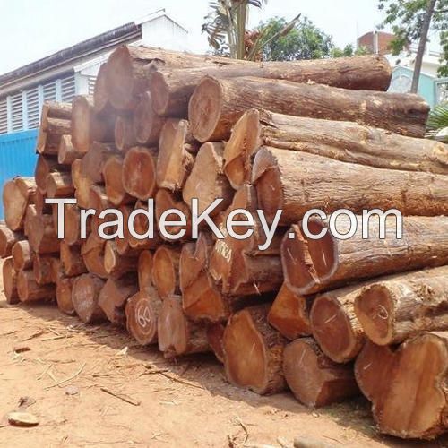 African Hard Wood Timber Logs