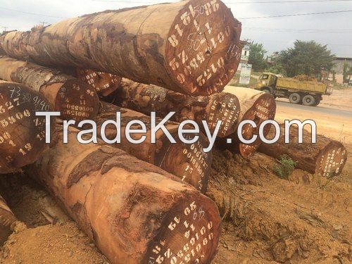 Tali Timber Hardwood Logs