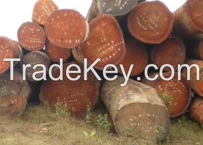 Wenge Round Wood Logs
