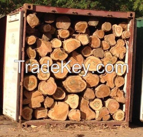 Dabema Wood Log