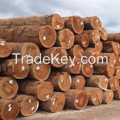 African Round Teak Wood Log