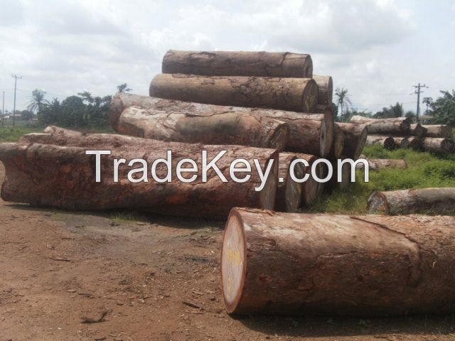 Timber Logs