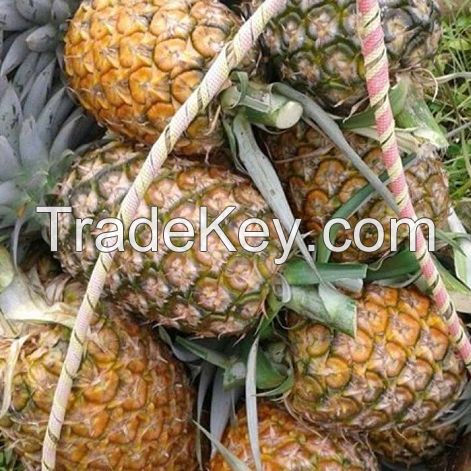 Fresh Kenya Pineapples