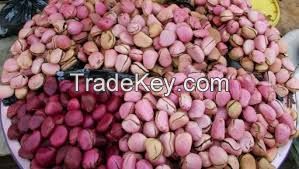 Natural Fresh African Red Kola Nut