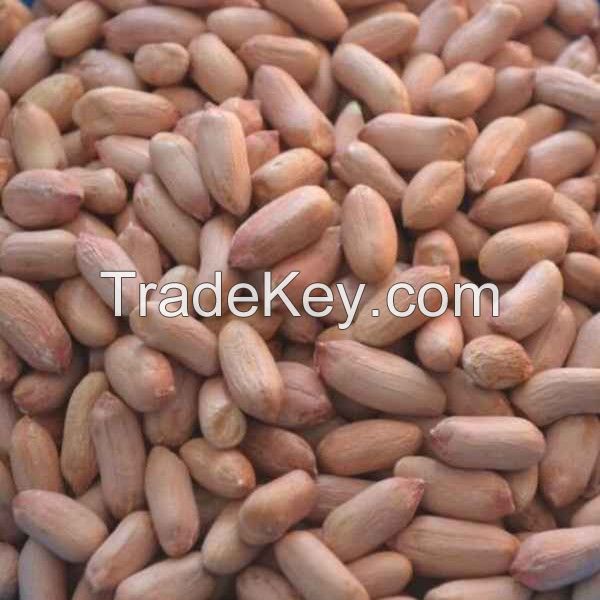 Raw Groundnuts Kernel