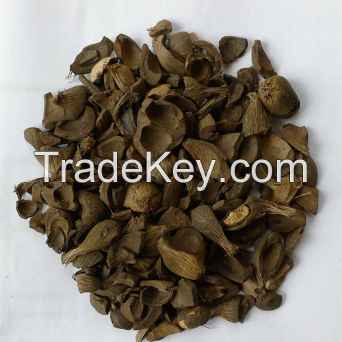 Palm Kernel Shell (PKS) 