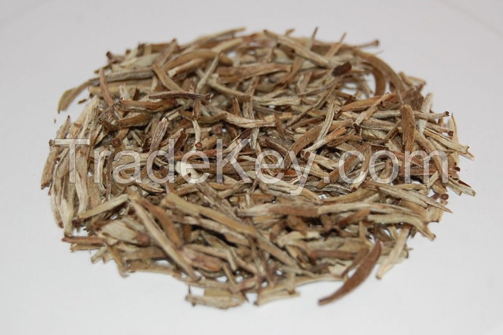 Kenya Silverback Rare White Tea