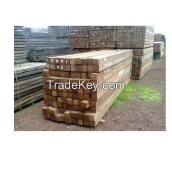 Bilinga Sawn Timber 