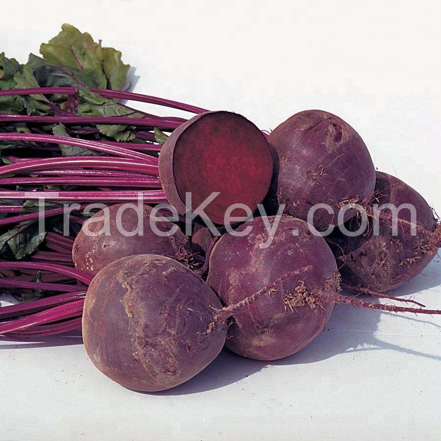 Beet Roots Seeds