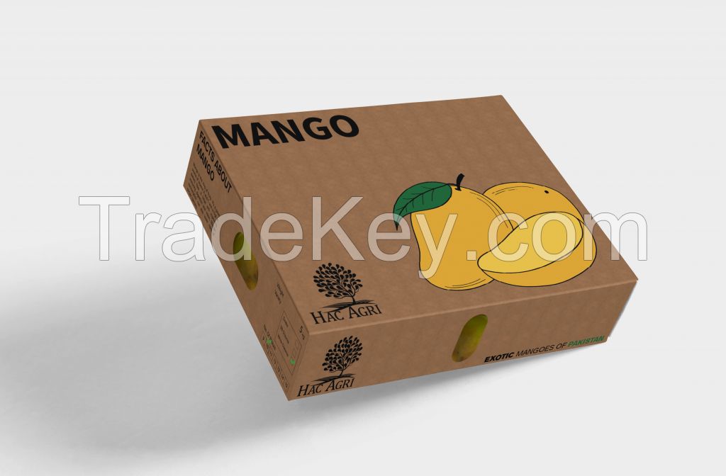 Fresh Mango (White Chaunsa)