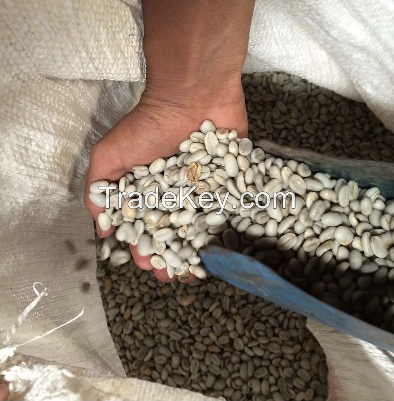 Specialty arabica robusta minang Solok 