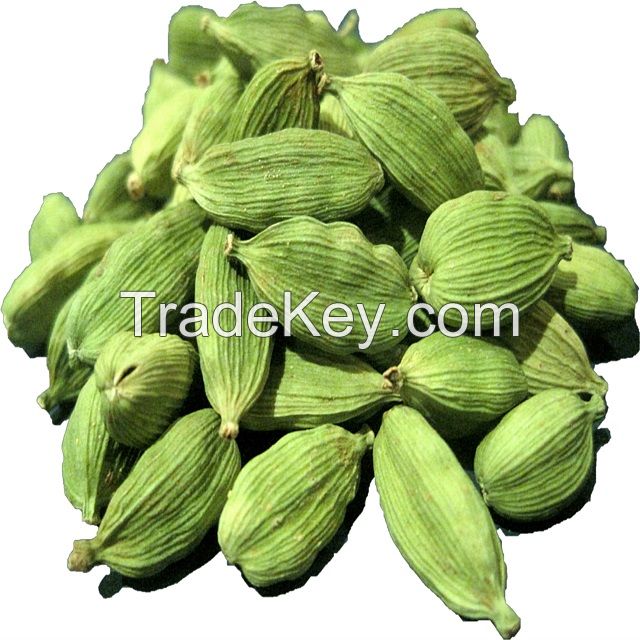 Green cardamom 